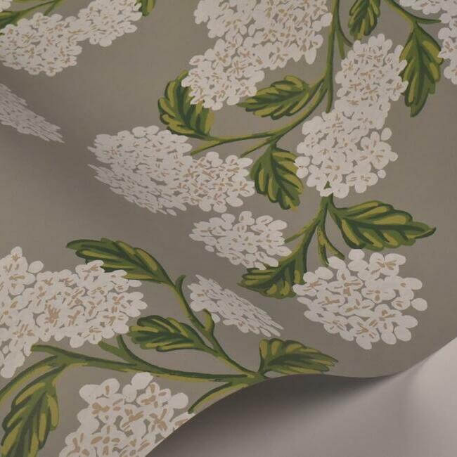 hydrangea-grey-wallpaper-york-wallcoverings-ri5144 - York Wallpaper Wallpaper