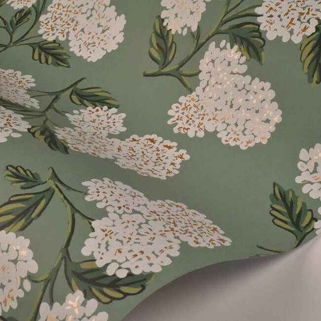 Hydrangea Jade Wallpaper - York Wallcoverings - RI5145 - York Wallcoverings Wallpaper