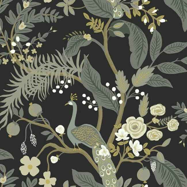 Peacock Black Wallpaper - York Wallcoverings - RI5170 - York Wallcoverings Wallpaper