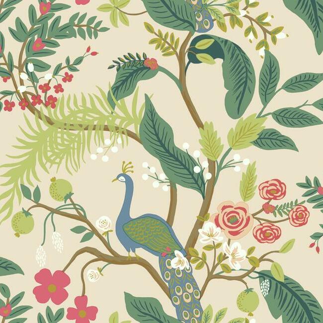 peacock-wallpaper-blush-york-wallcoverings-ri5169