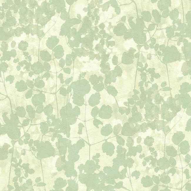 Pressed Leaves Green Wallpaper - York Wallcoverings - NA0517 - York Wallcoverings Wallpaper