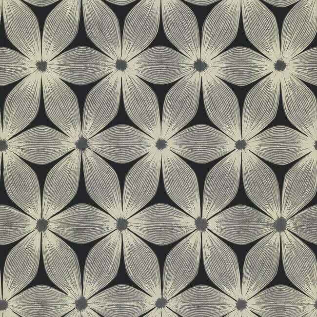 Everlasting Black & Silver Wallpaper - York Wallcoverings - CI2305 - York Wallcoverings Wallpaper