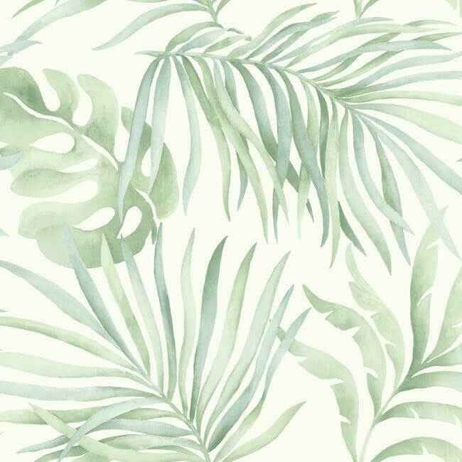 Paradise Palm Light Green Wallpaper - York Wallcoverings - SO2452