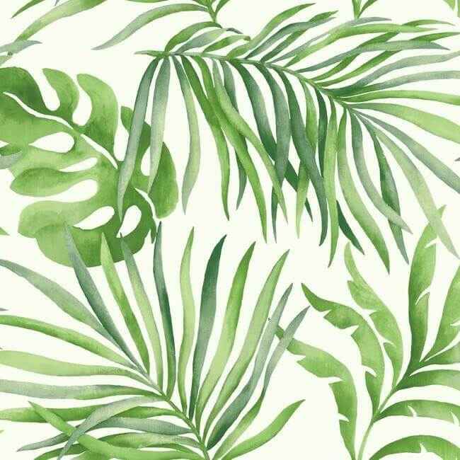 Paradise Palm Green Wallpaper - York Wallcoverings - SO2450 - York Wallcoverings Wallpaper
