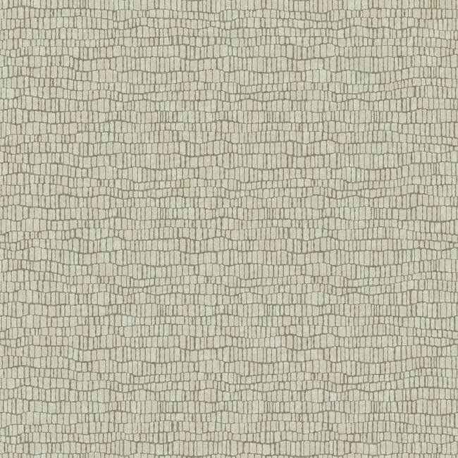 Skin Wallpaper Beige - York Wallcoverings - Y6230402 - York Wallcoverings Wallpaper