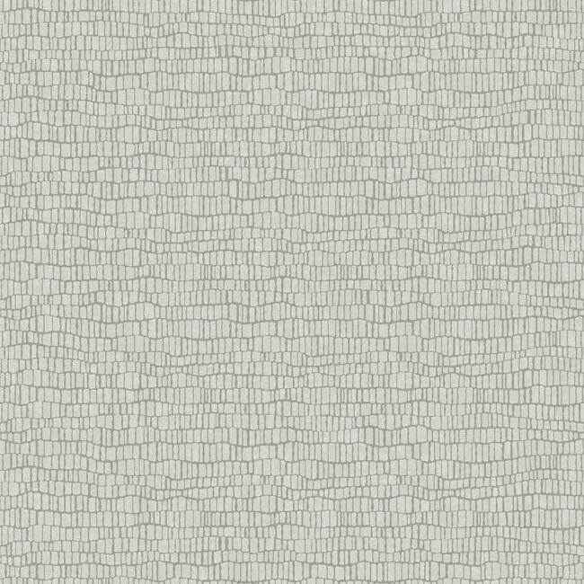 Skin Wallpaper Light Grey - York Wallcoverings - Y6230401 - York Wallcoverings Wallpaper