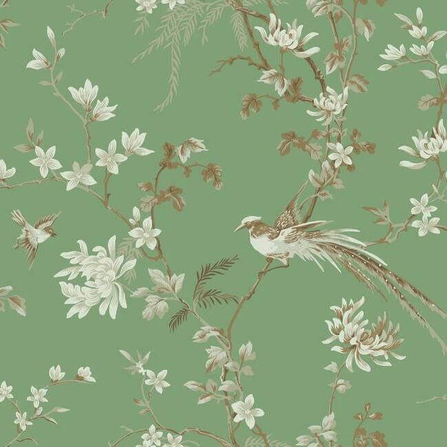 bird-blossom-chinoserie-green-wallpaper-york-wallcoverings-kt2175 - York Wallcoverings Wallpaper