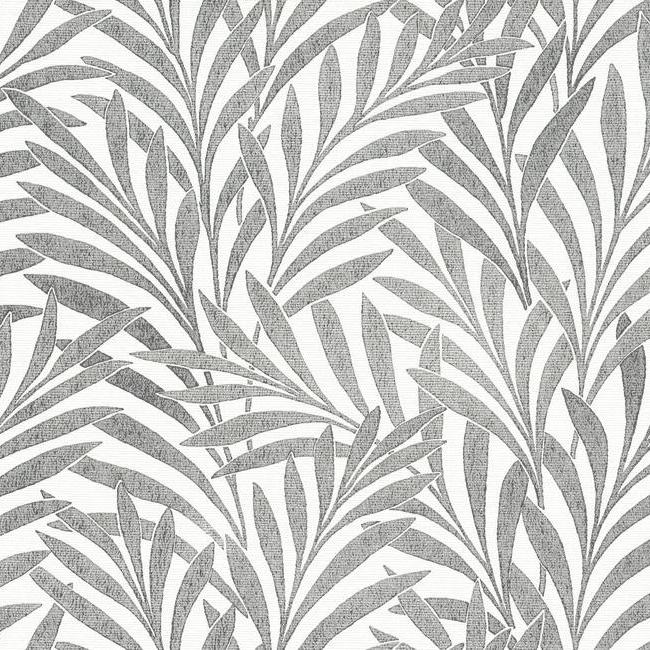 tea-leaves-wallpaper-creamblack-york-wallcoverings-hc7502 - York Wallcoverings Wallpaper