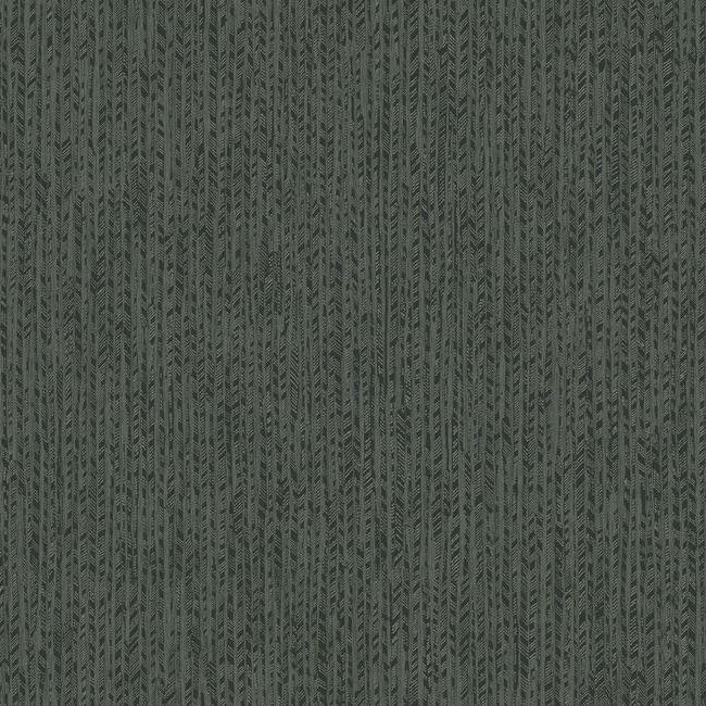 feather-fletch-wallpaper-black-york-wallcoverings-ho2139