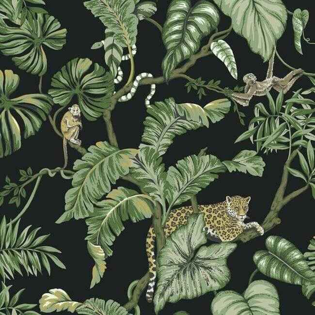 Jungle Cat Black Wallpaper - York Wallcoverings - HO2143 - York Wallcoverings Wallpaper