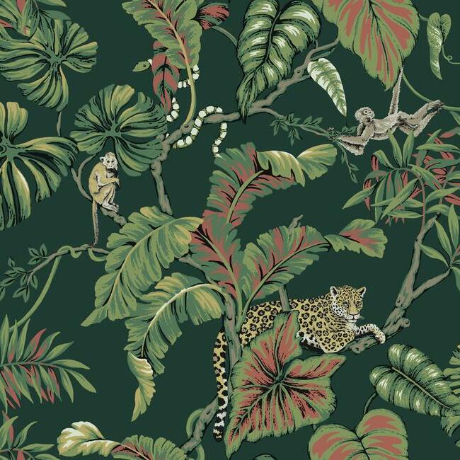 jungle-cat-wallpaper-jungle-york-wallcoverings-ho2146 - York Wallcoverings Wallpaper