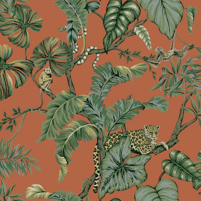 jungle-cat-wallpaper-orange-york-wallcoverings-ho2142 - York Wallcoverings Wallpaper