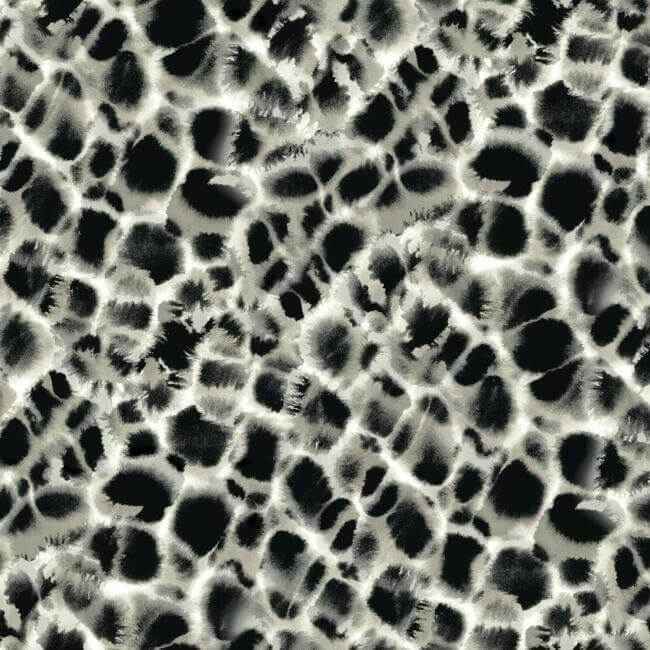 Leopard Rosettes Wallpaper Blacklinen - York Wallcoverings - HO2164 - York Wallcoverings Wallpaper