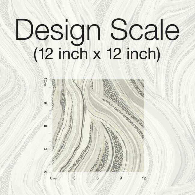 streaming-cheetah-wallpaper-neutral-grey-york-wallcoverings-ho2172
