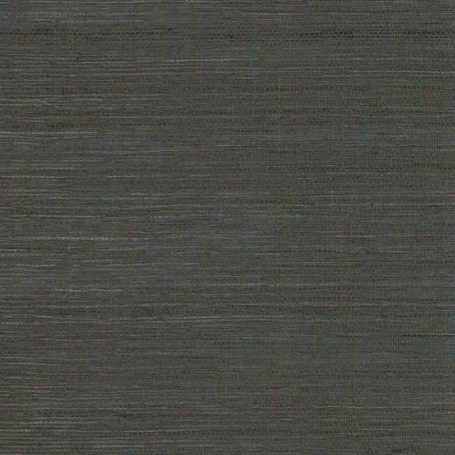 Grass Grey & Black Wallpaper - York Wallcoverings - VG4409MH - York Wallcoverings Wallpaper