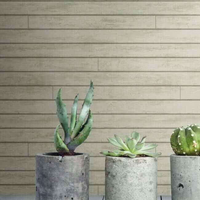 Skinnylap Grey & Brown Wallpaper - York Wallcoverings - MH1567 - York Wallcoverings Wallpaper