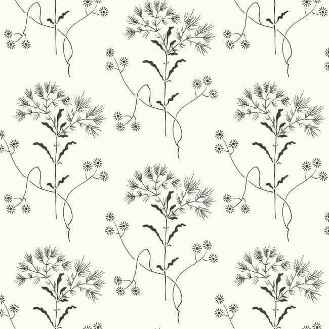 Wildflower Black & White Wallpaper - York Wallcoverings - ME1515 - York Wallcoverings Wallpaper
