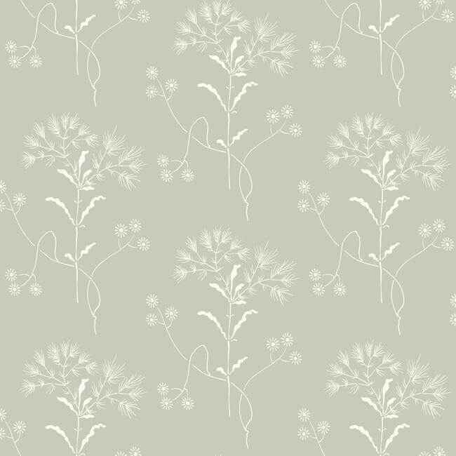 Cupola Wildflower Light Grey & White Wallpaper - York Wallcoverings - ME1516