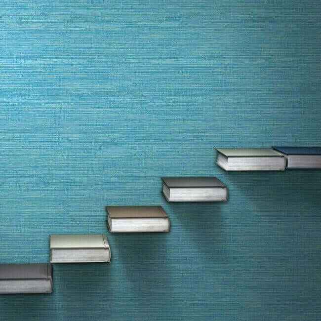 Fine Line High Performance Wallpaper Reef - York Wallcoverings - TL6124N - York Wallcoverings Wallpaper