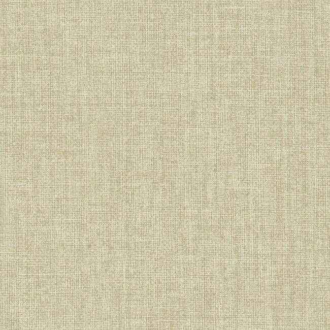 Well Suited Beige Wallpaper - York Wallcoverings - TD1014N - York Wallcoverings Wallpaper