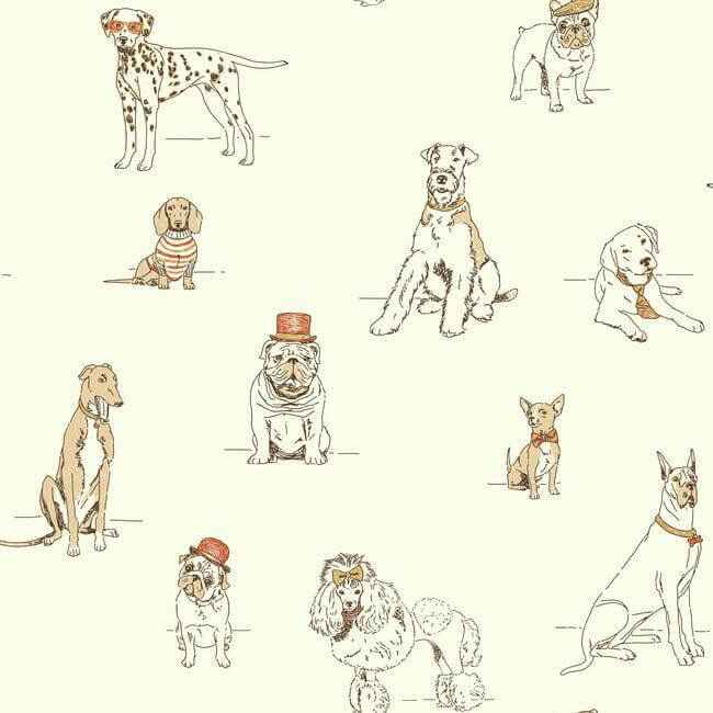 Dogs Life Wallpaper Orangegold - York Wallcoverings - AF1940 - York Wallcoverings Wallpaper