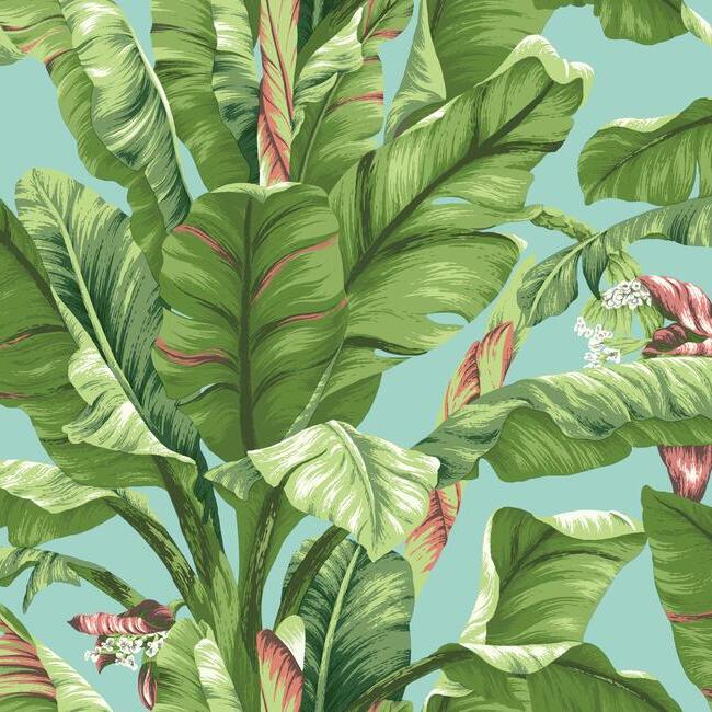 banana-leaf-wallpaper-aqua-york-wallcoverings-at7070 - York Wallcoverings Wallpaper