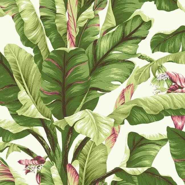 Banana Leaf Dark Brown & Pink Wallpaper - York Wallcoverings - AT7067 - York Wallcoverings Wallpaper