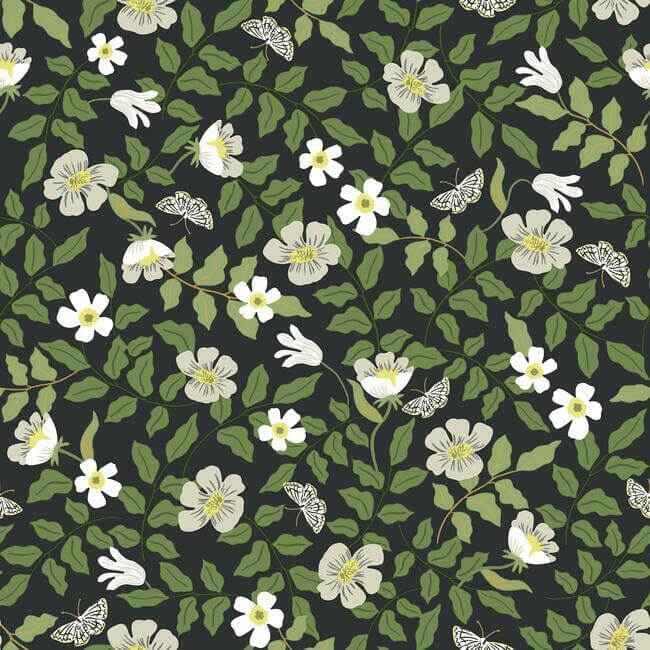 Primrose Off White & Black Peel & Stick Wallpaper - York Wallcoverings - PSW1315RL - York Wallcoverings Wallpaper