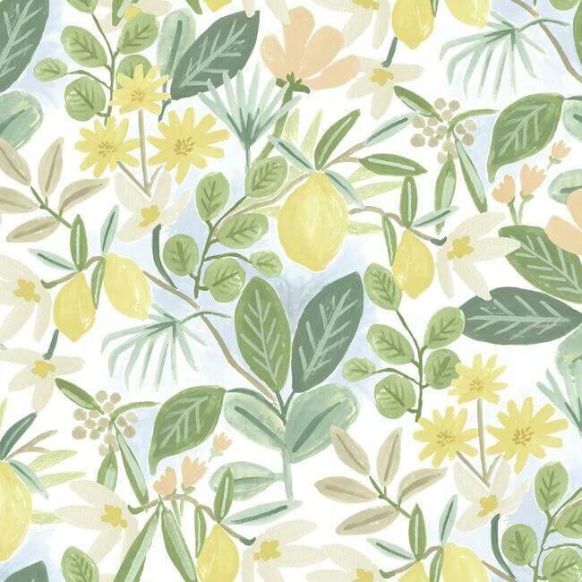 amalfi-pink-green-peel-stick-wallpaper-york-wallcoverings-psw1319rl - York Wallpaper Wallpaper