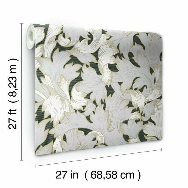 acanthus-toss-wallpaper-blackgrey-york-wallcoverings-nv5510 - York Wallcoverings Wallpaper