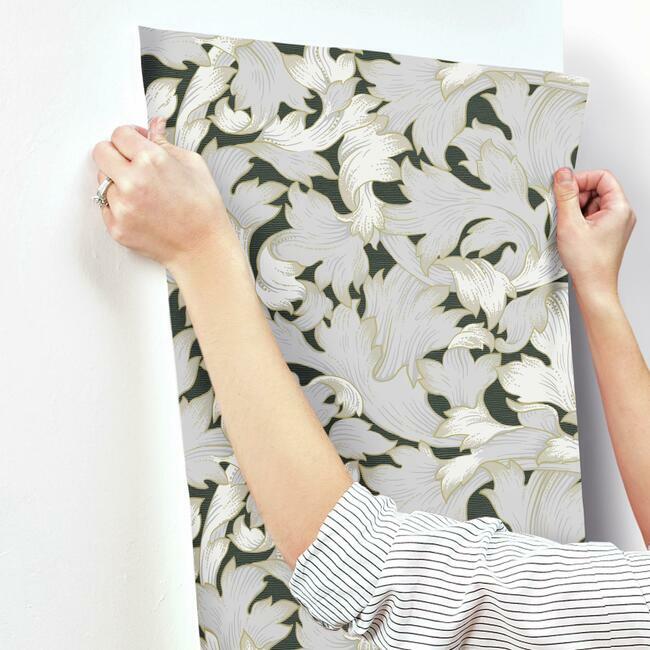 acanthus-toss-wallpaper-blackgrey-york-wallcoverings-nv5510 - York Wallcoverings Wallpaper