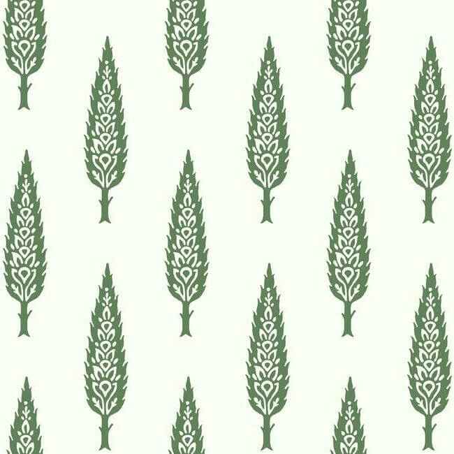 Juniper Tree Wallpaper Green - York Wallcoverings - SS2604 - York Wallcoverings Wallpaper