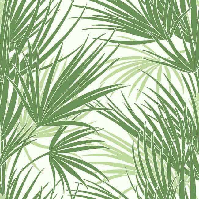 Palmetto Wallpaper Green - York Wallcoverings - SS2540 - York Wallcoverings Wallpaper