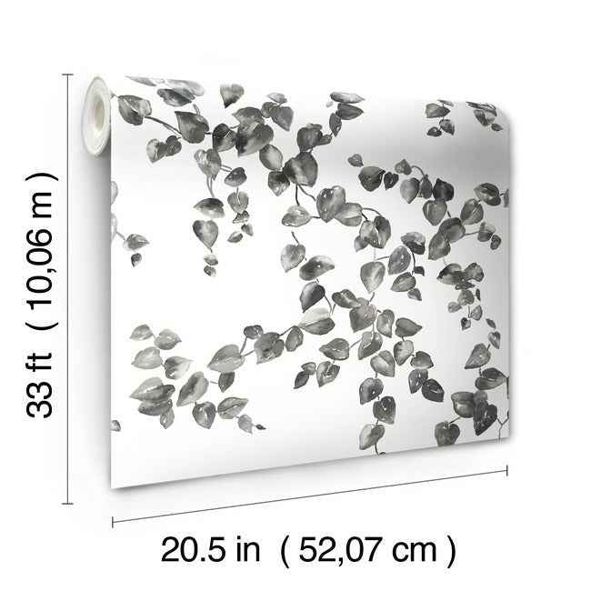 Creeping Fig Vine Black & White Wallpaper - York Wallcoverings - FH4038 - York Wallcoverings Wallpaper