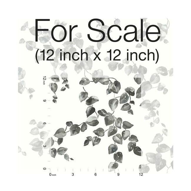 creeping-fig-vine-wallpaper-blackwhite-york-wallcoverings-fh4038 - York Wallcoverings Wallpaper