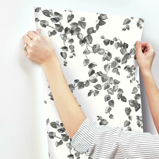creeping-fig-vine-wallpaper-blackwhite-york-wallcoverings-fh4038 - York Wallcoverings Wallpaper