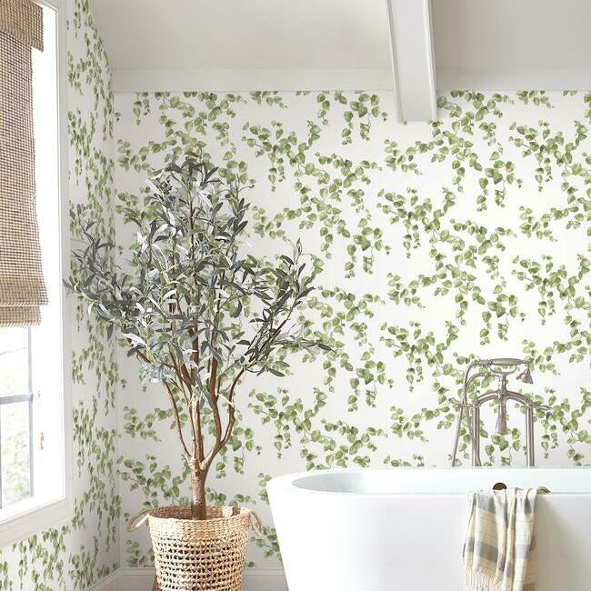 creeping-fig-vine-wallpaper-green-york-wallcoverings-fh4036