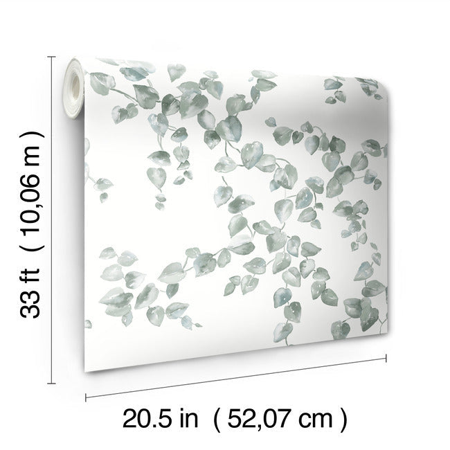creeping-fig-vine-wallpaper-sage-york-wallcoverings-fh4037