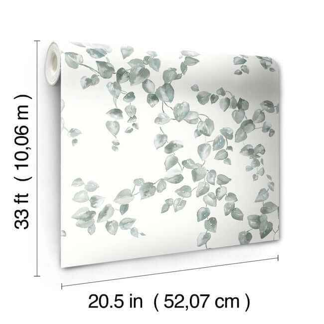 Creeping Fig Vine Sage Wallpaper - York Wallcoverings - FH4037 - York Wallcoverings Wallpaper