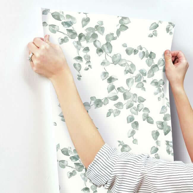 creeping-fig-vine-sage-wallpaper-york-wallcoverings-fh4037 - York Wallpaper Wallpaper