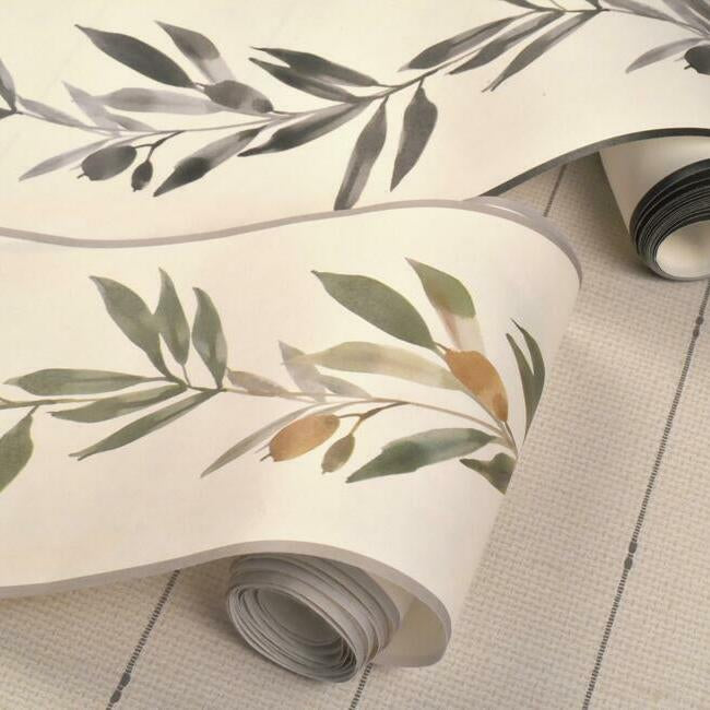 olive-branch-wallpaper-border-green-york-wallcoverings-fh4099bd - York Wallcoverings Wallpaper