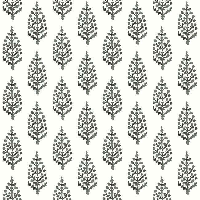 paisley-on-calico-wallpaper-blackwhite-york-wallcoverings-fh4069 - York Wallcoverings Wallpaper