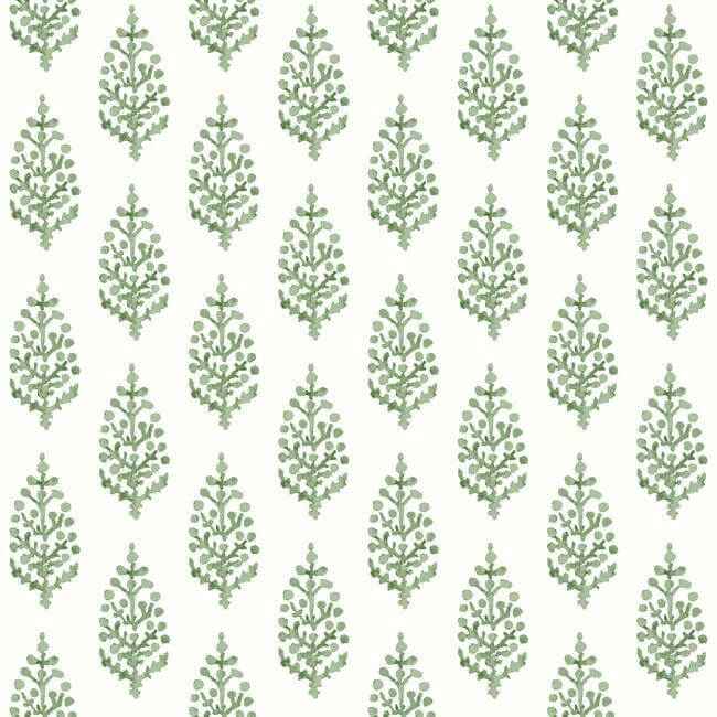 Paisley on Calico Green Wallpaper - York Wallcoverings - FH4067