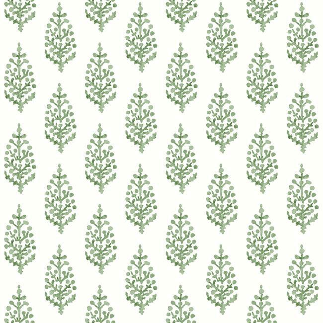 paisley-on-calico-wallpaper-green-york-wallcoverings-fh4067