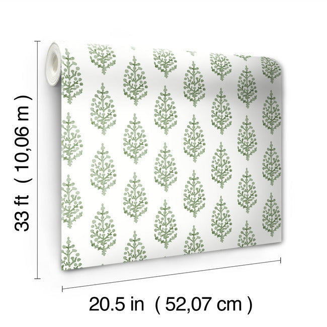 paisley-on-calico-wallpaper-green-york-wallcoverings-fh4067