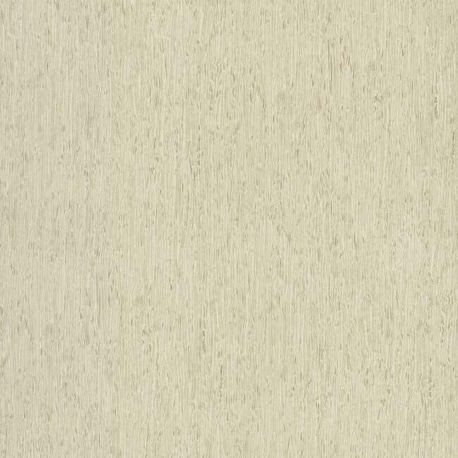 rugged-bark-off-white-wallpaper-york-wallcoverings-fh4091 - York Wallpaper Wallpaper