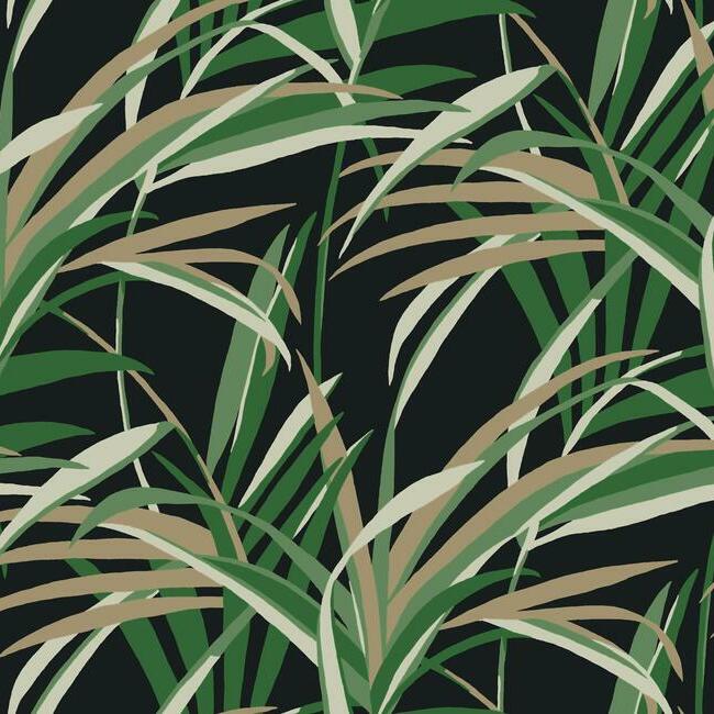 tropical-paradise-wallpaper-greensblack-york-wallcoverings-tc2606 - York Wallcoverings Wallpaper