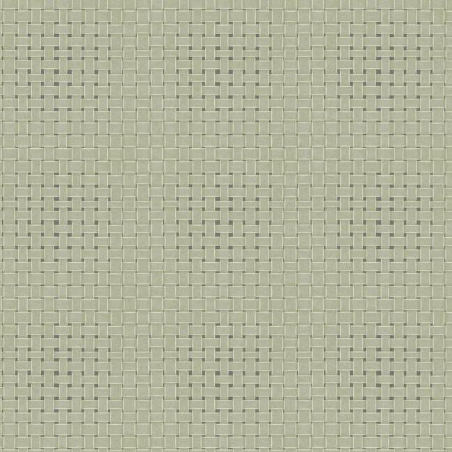 paradise-island-weave-wallpaper-green-york-wallcoverings-tc2613