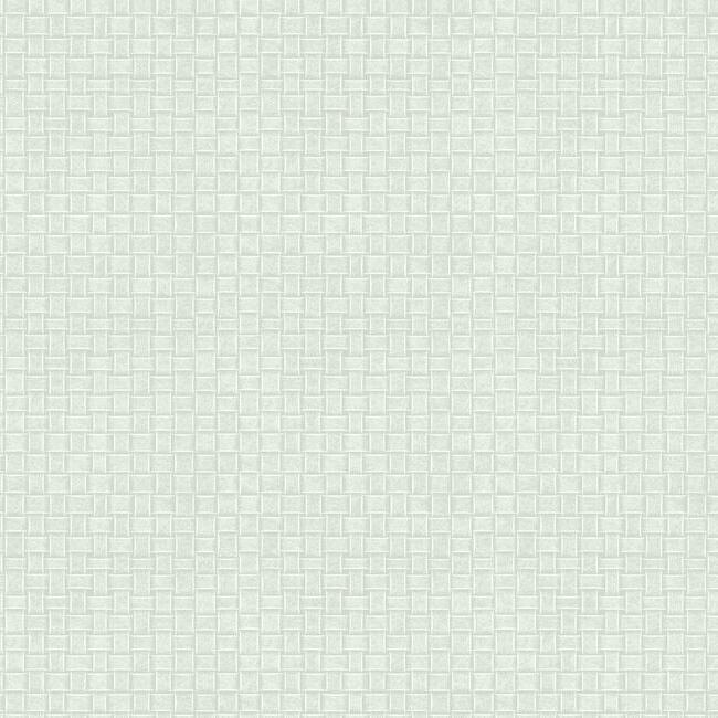 paradise-island-weave-wallpaper-light-grey-york-wallcoverings-tc2612