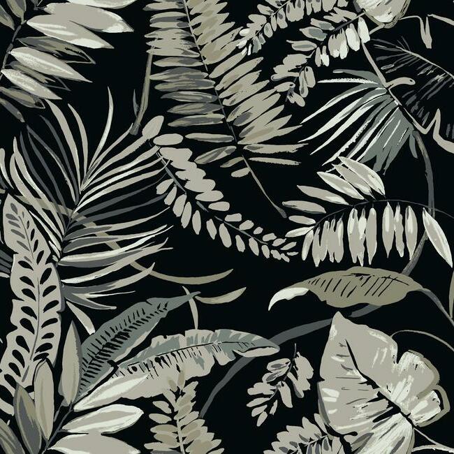 tropical-toss-wallpaper-black-york-wallcoverings-tc2625 - York Wallcoverings Wallpaper
